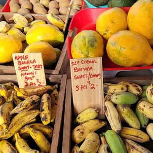 a variety of tropical fruits