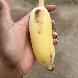 Apple banana