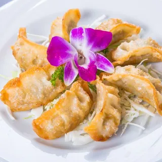 Gyoza