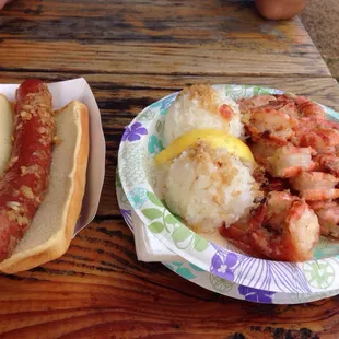 hot dog, food, hot dogs, sandwich