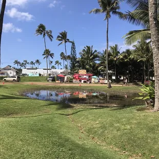 The area by the entrance