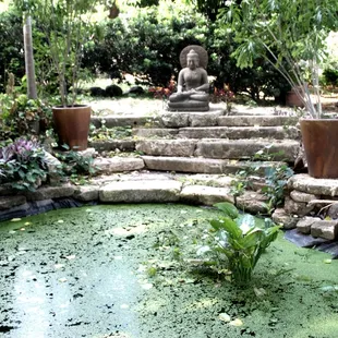Buddha pond