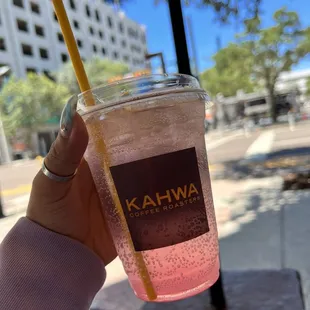 Cucumber guava refresher