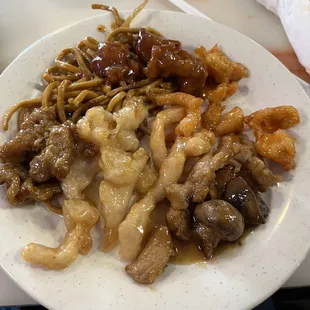 Lo mein .. indian chicken was amazing! other stuff