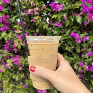 Iced Kai Latte