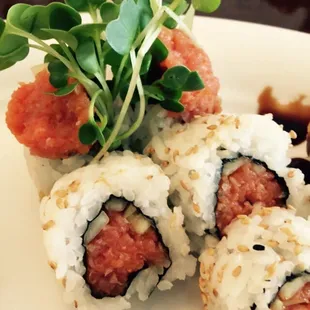 Spicy Tuna Rolls