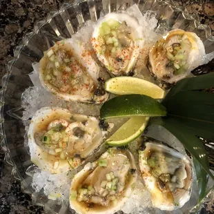 Oysters