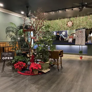 Their Christmas Decor!