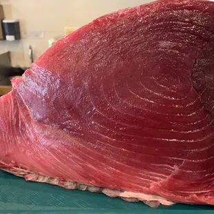 Bluefin tuna