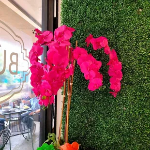 Welcoming flower