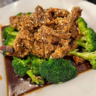 Orange Beef