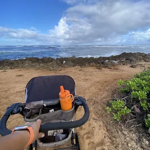 Running a coastal trail at Kaiaka