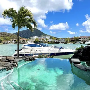 Our clients in Hawaii kai asked us to pick them up!