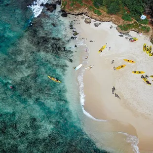 Hawaiian Monk seals are amazing and federally protected. Observe but do not disturb.