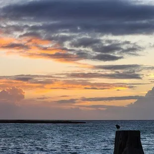 Kailua Beach is a great place to watch the sunrise!
