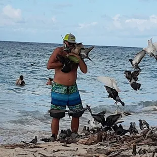 This guy walks along the beach putting on a show with the birds