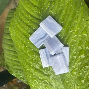 Blue lace agate slices