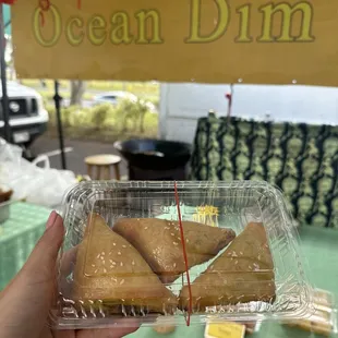 Ocean dim sum- curry chicken su