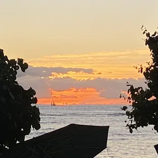 From the second tier of the restaurant. The trees block almost all views of the sunset
