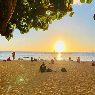 View from Hau tree at sunset