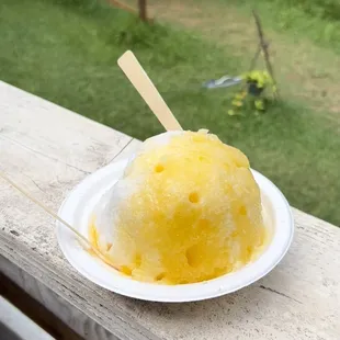 Pineapple and coconut