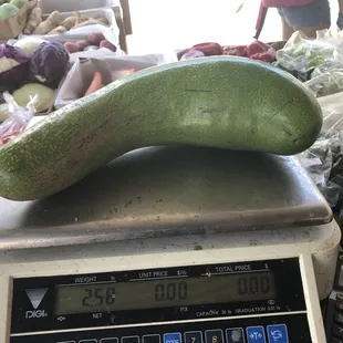 a cucumber on a scale