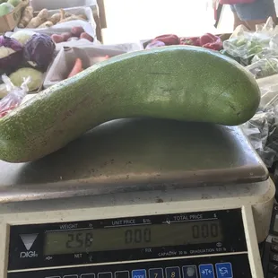 a cucumber on a scale