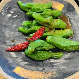 Shishito Pepper