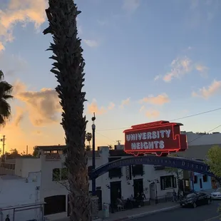 a palm tree in the foreground