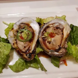 Oysters