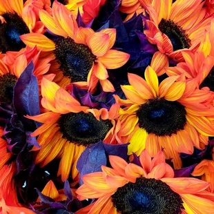 Flowers galore @ Kaiser