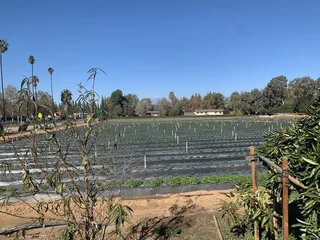 Raul and Family Farms