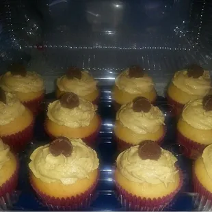 Peanut Butter Cupcakes with reeses on top