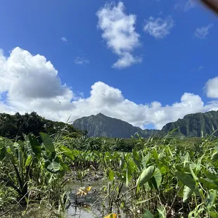 LOVE IT  IG: @ohmyono