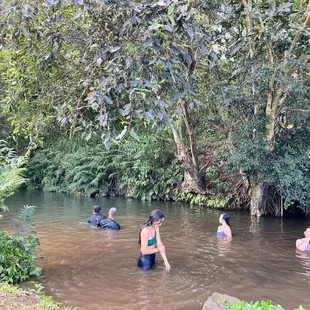 Cooling off in their freshwater pool after the workday  IG: @ohmyono