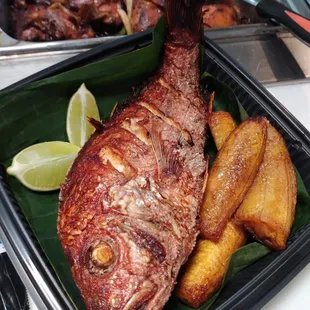 Fried snapper /pargo rojo al estilo RD.