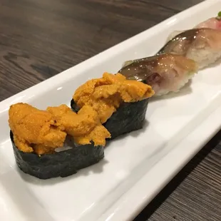 Fresh Sea Urchin