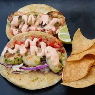 Taco Plate