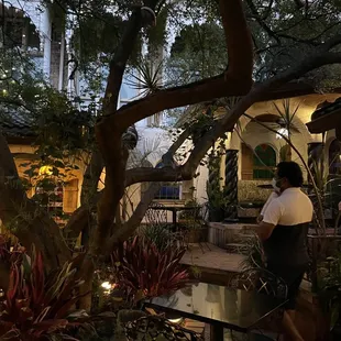 Gorgeous outdoor courtyard for outdoor dining