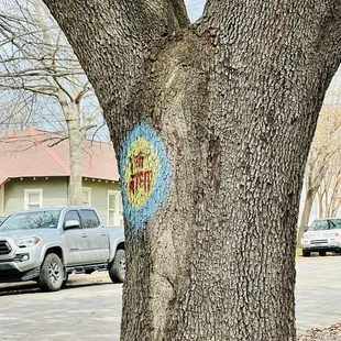 Shri Radha written all the over street trees trunk