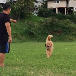 It's a small park with a sizeable length for your doggie to enjoy!