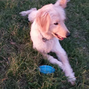 This is Kula........