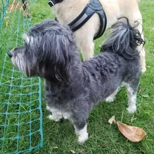 This is Makana's friend Wilson.