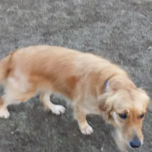 This is Sandy.......