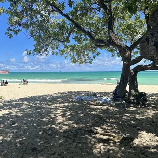 View as you walk from park to the beach