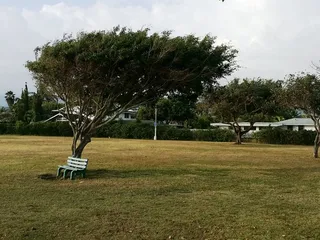 Kailua Beach Park
