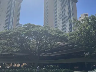 Frank F Fasi Municipal Building People's Open Market