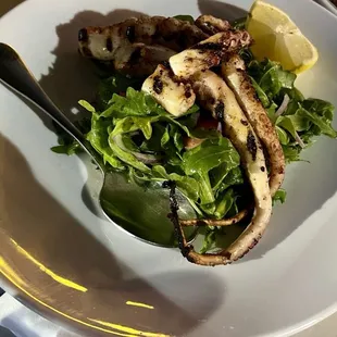 Grilled Octopus