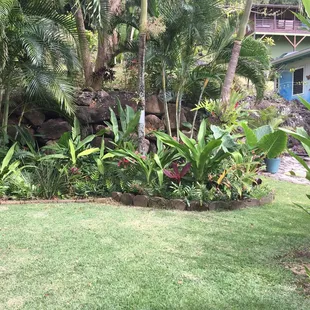 Magnificent private outdoor space