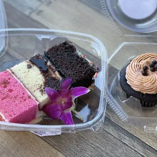 a cupcake and a chocolate cupcake